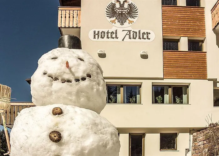 Adler Hotel Lido di Classe